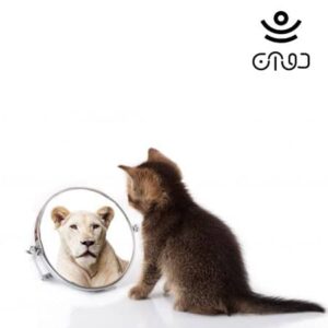 نشان های نداشتن ذهن آگاهی